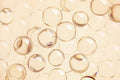 Ceramide